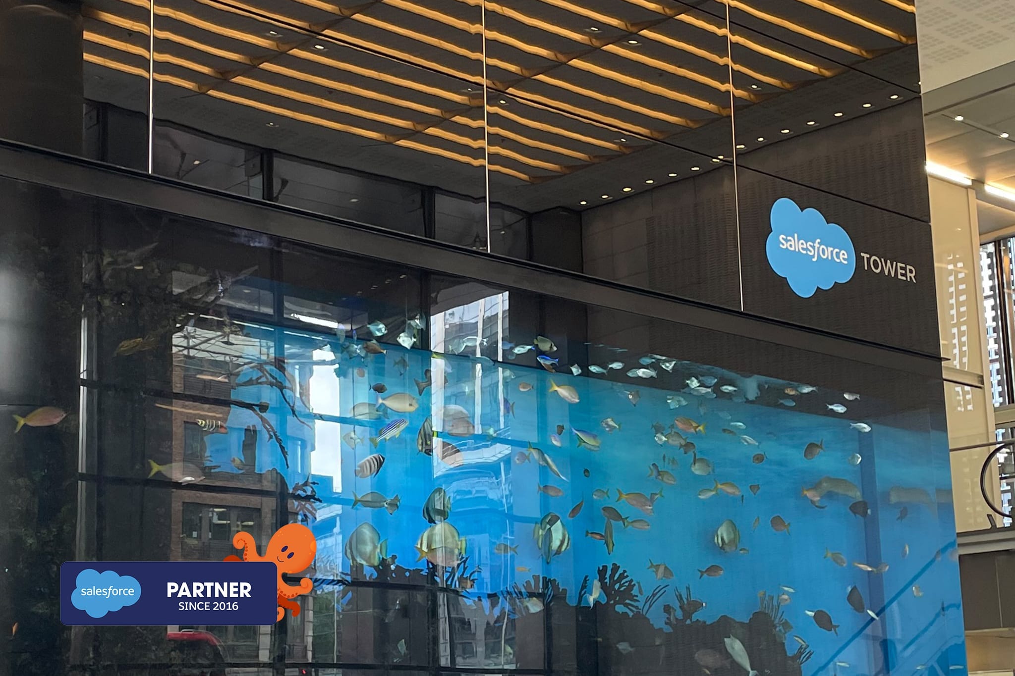 Selecting a Salesforce Implementation Partner isn’t just a technical decision; it’s a strategic one.